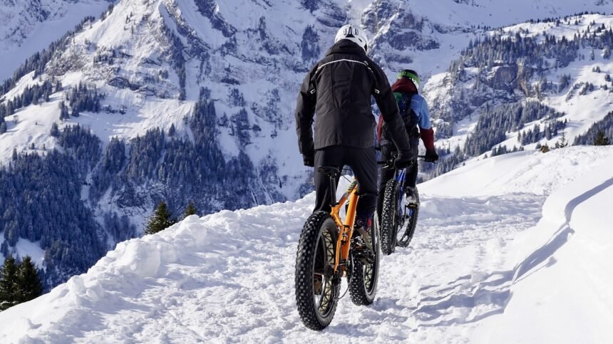 shredding the gnar